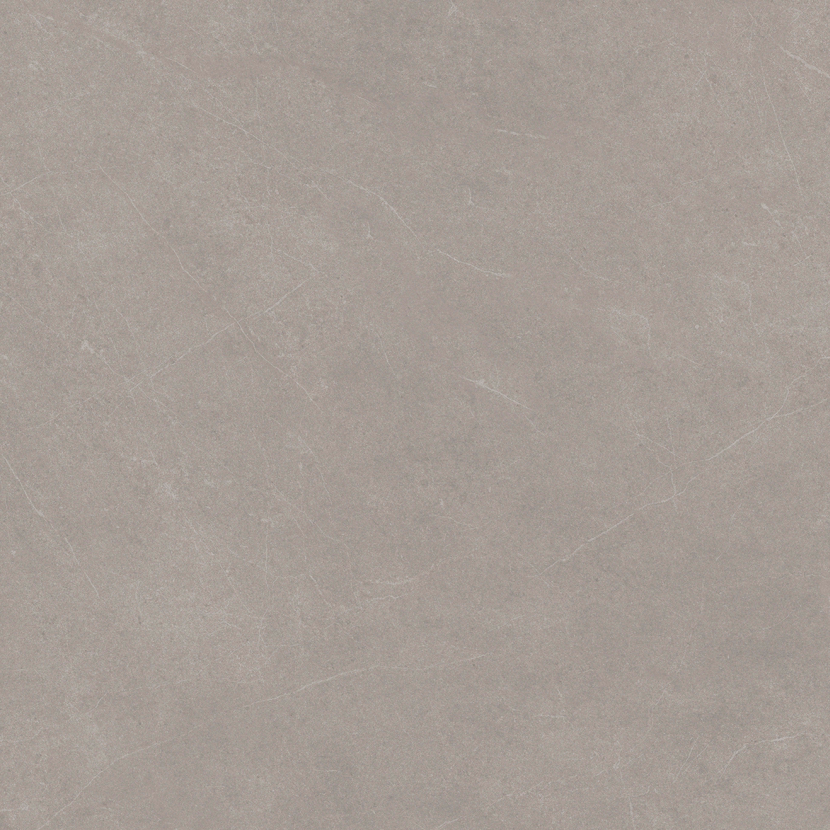 Grey Stone Textured Tile