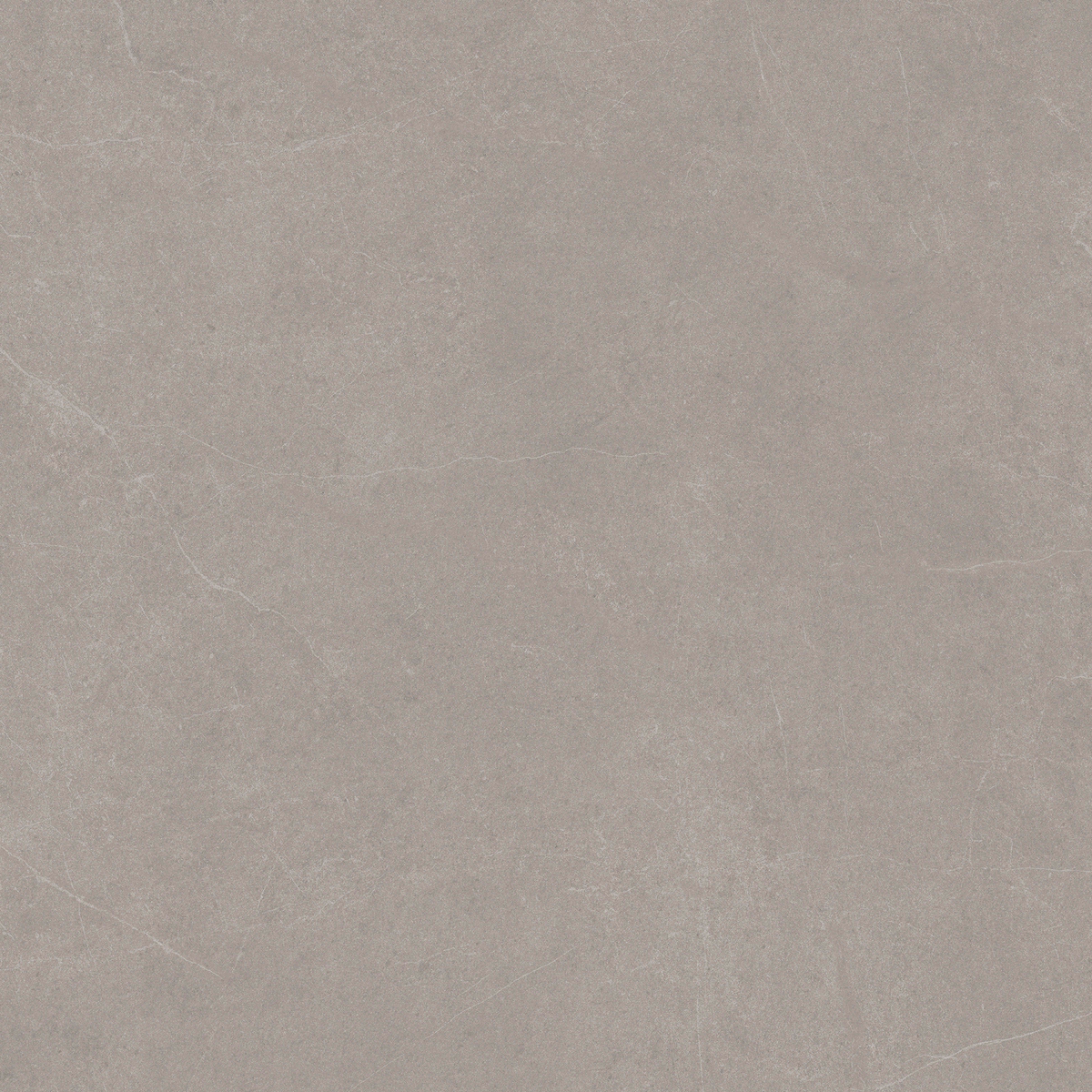 Grey Stone Textured Tile