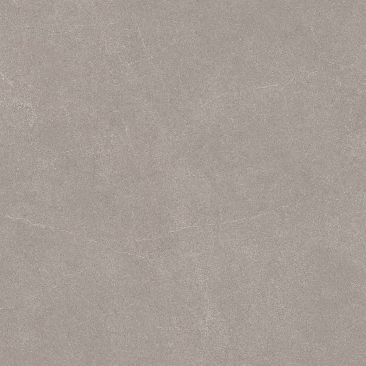 Grey Stone Textured Tile