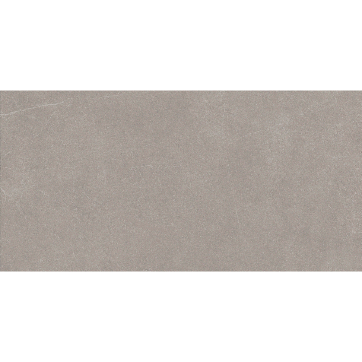 Grey Stone Textured Tile