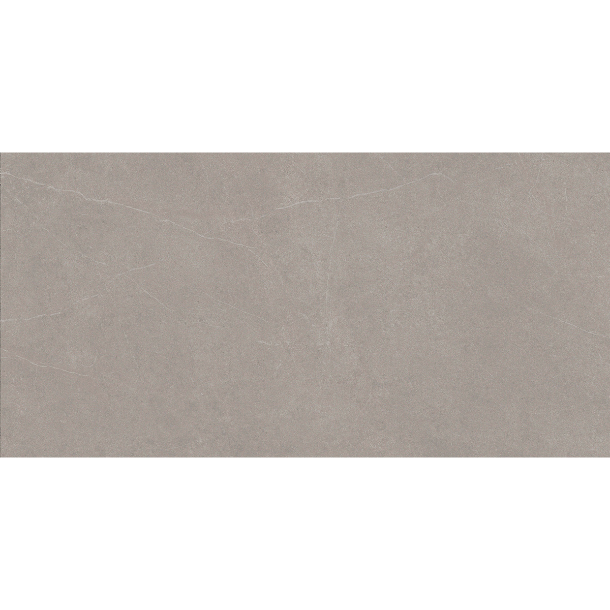 Grey Stone Textured Tile
