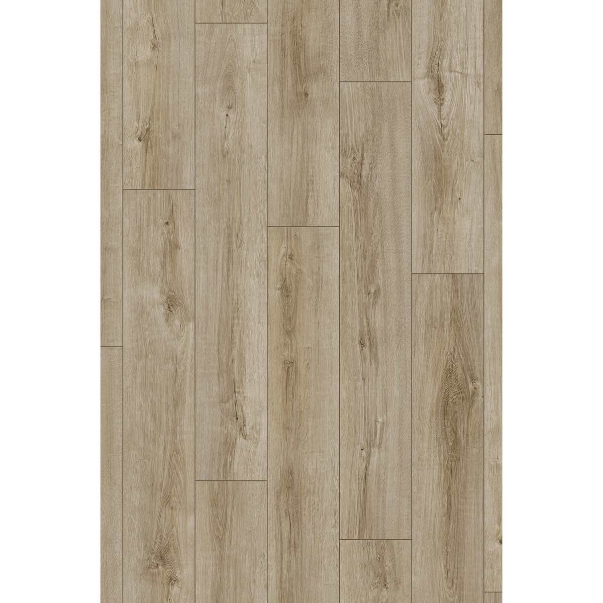Lam Ridgewood Oak Off Cut Sample