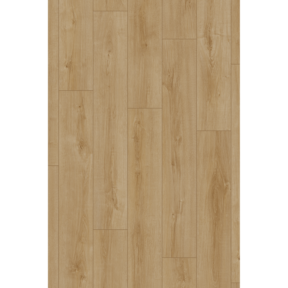 Lam Mapleton Oak Off Cut Sample