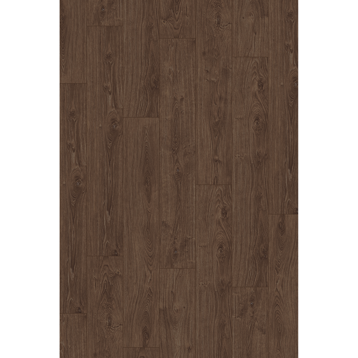 Lam Rustic Coffee Oak Off Cut Sample