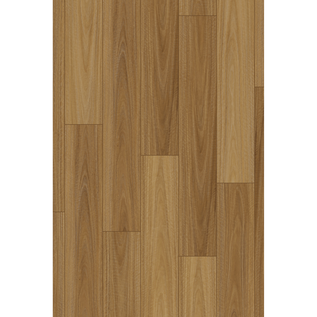 Brooklyn Spotted Gum Laminate