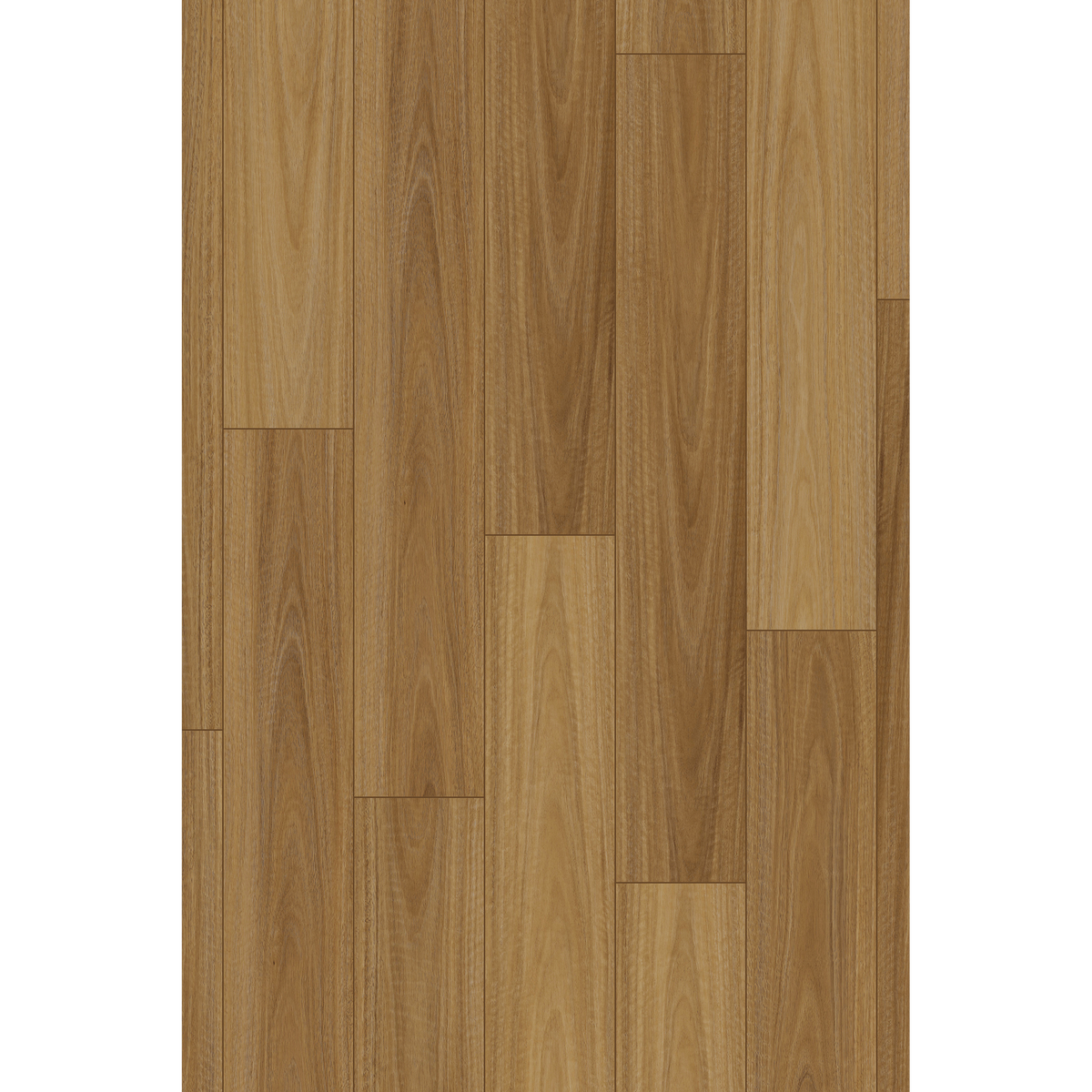 Brooklyn Spotted Gum Laminate
