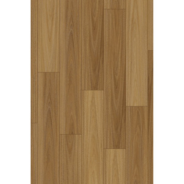 Brooklyn Spotted Gum Laminate