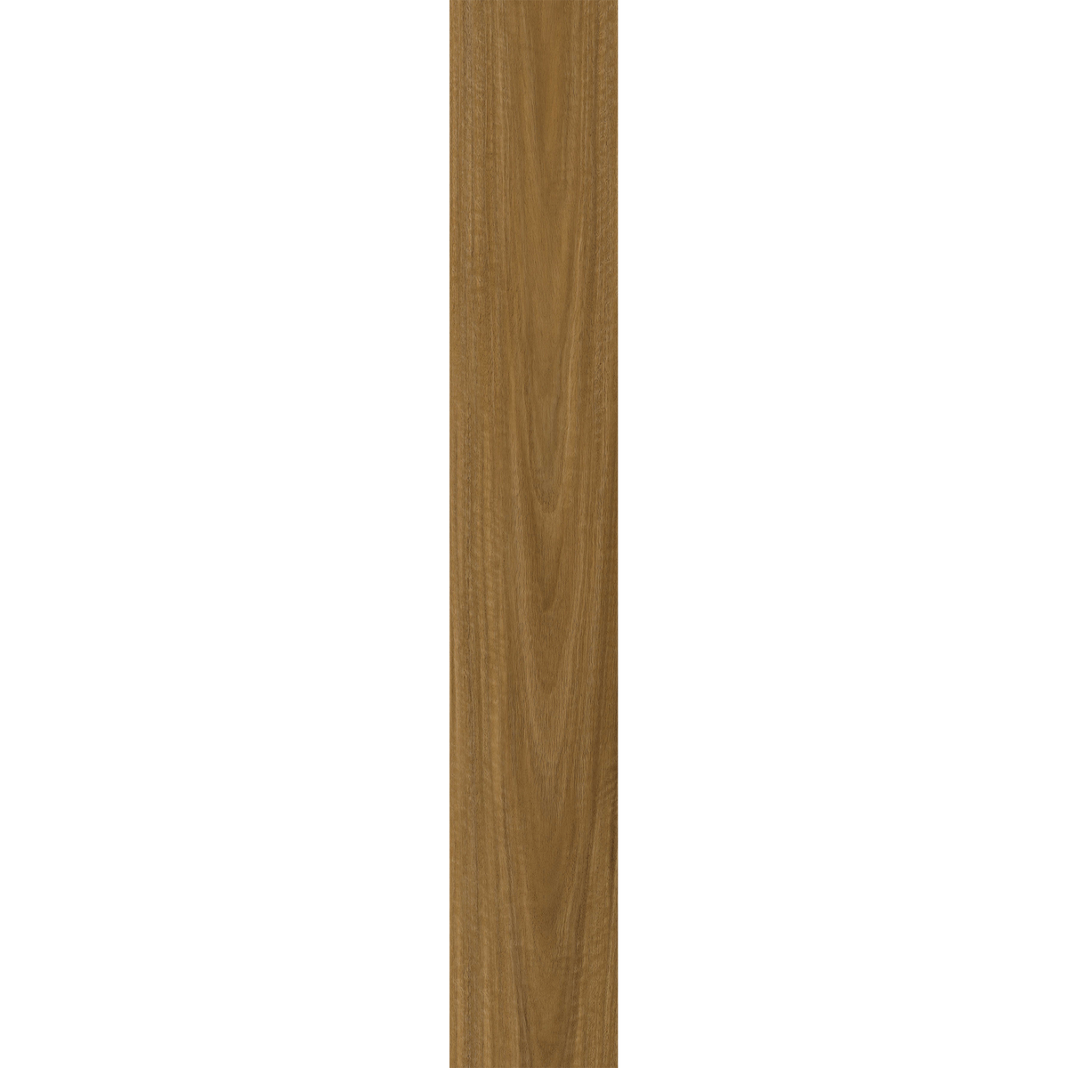 Spotted Gum Laminate