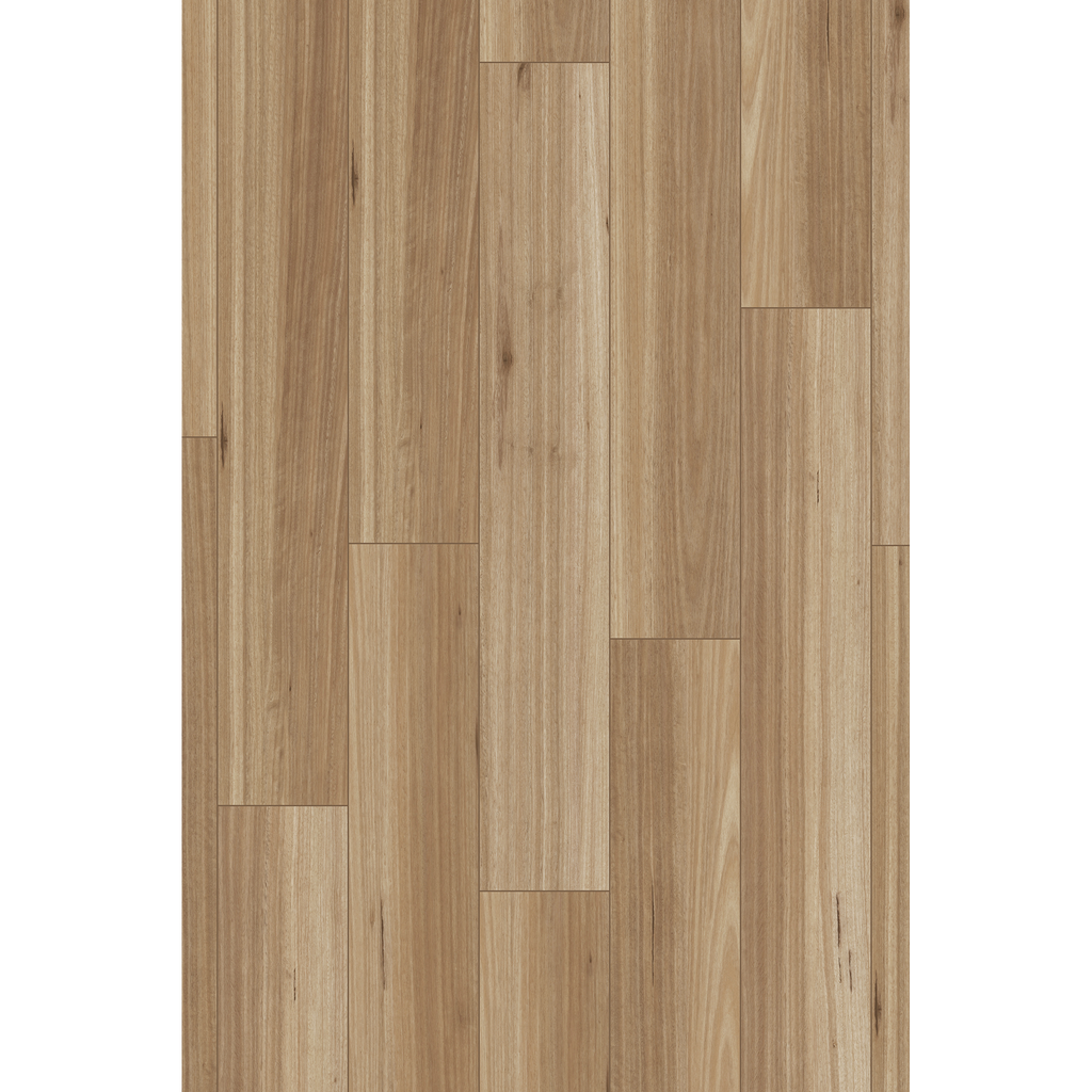 Brooklyn Blackbutt Laminate