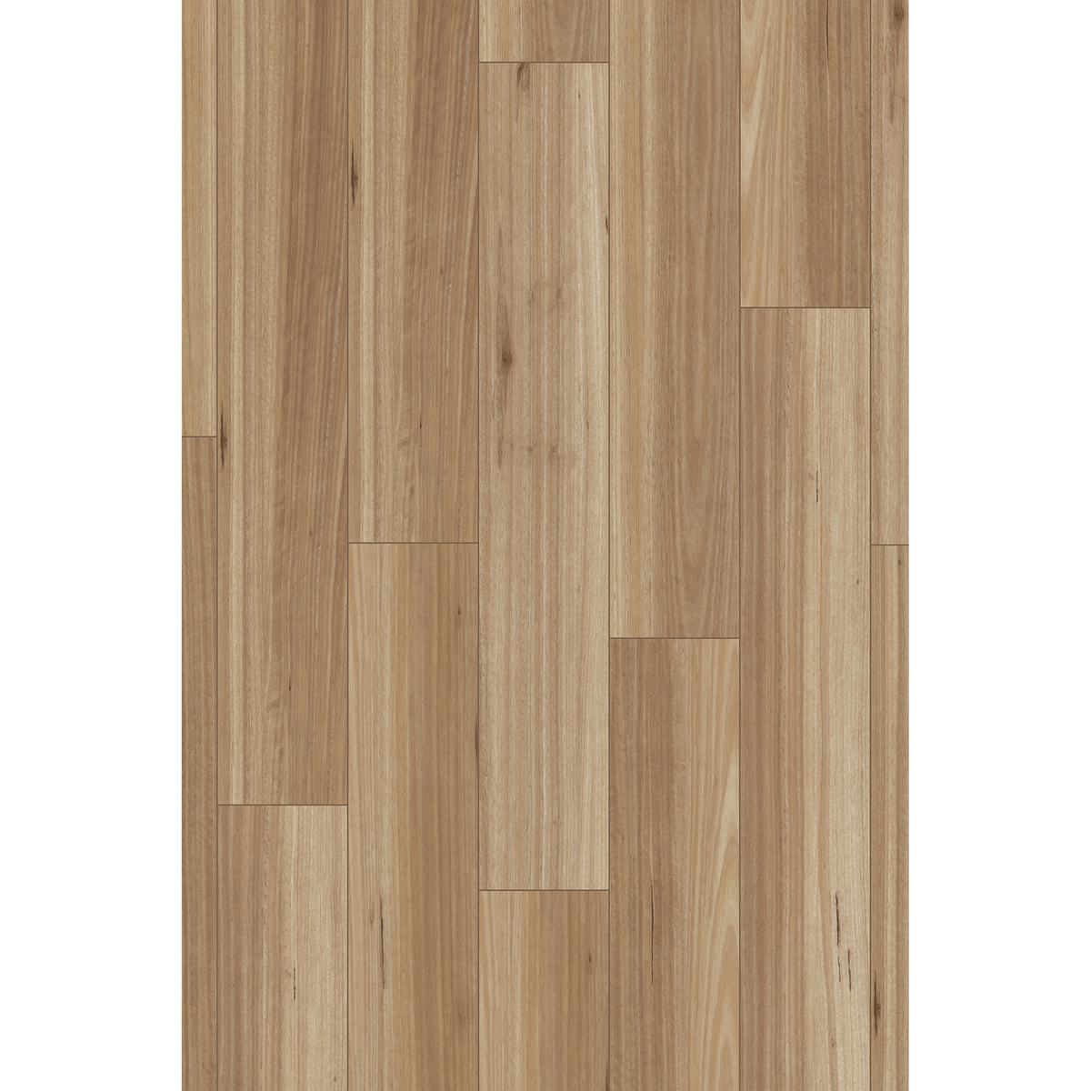 Brooklyn Blackbutt Laminate