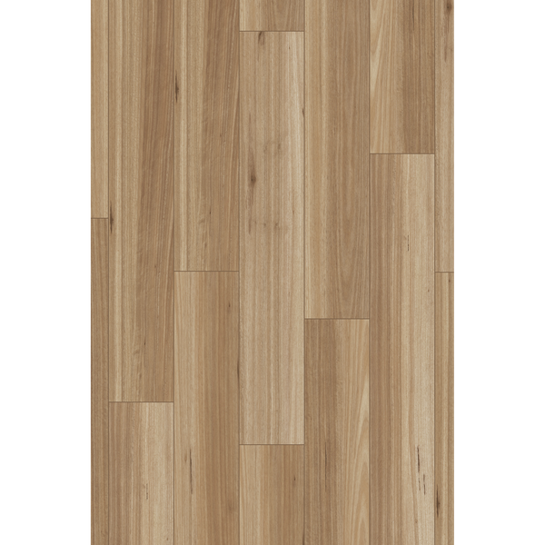 Brooklyn Blackbutt Laminate