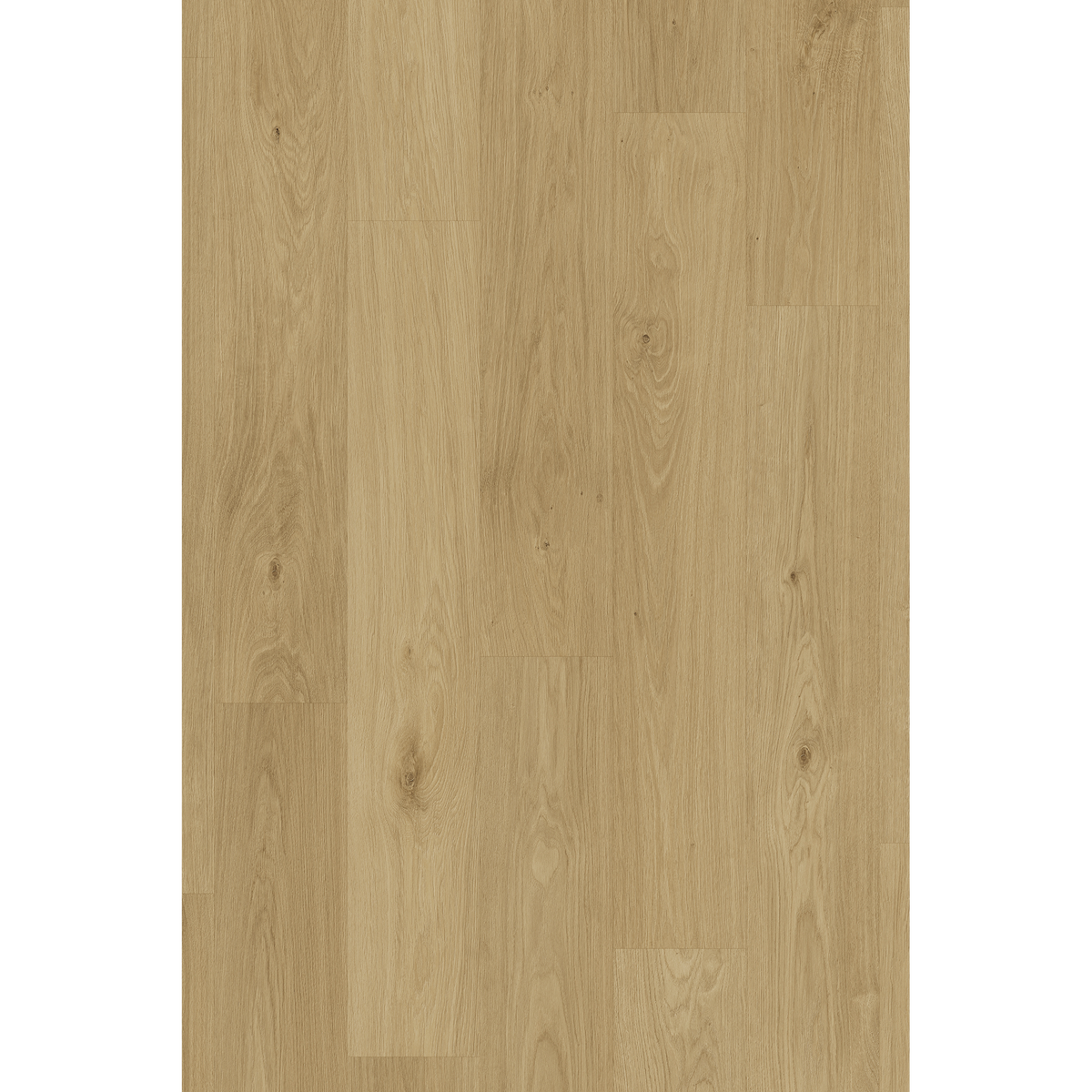 Lam Light Oak Off Cut Sample