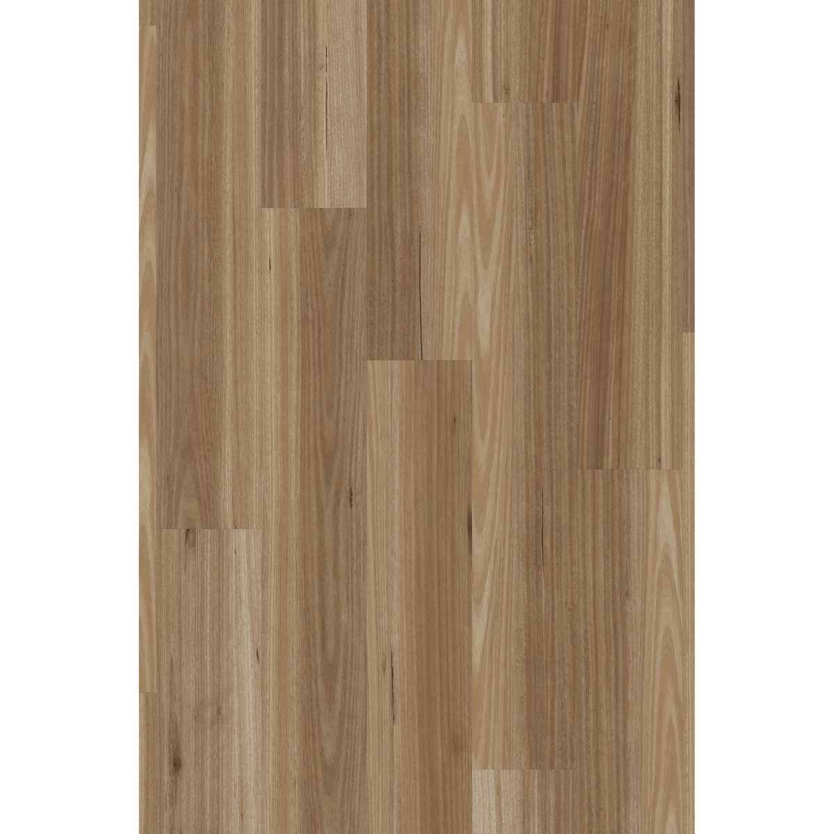 Lam Blackbutt Off Cut Sample