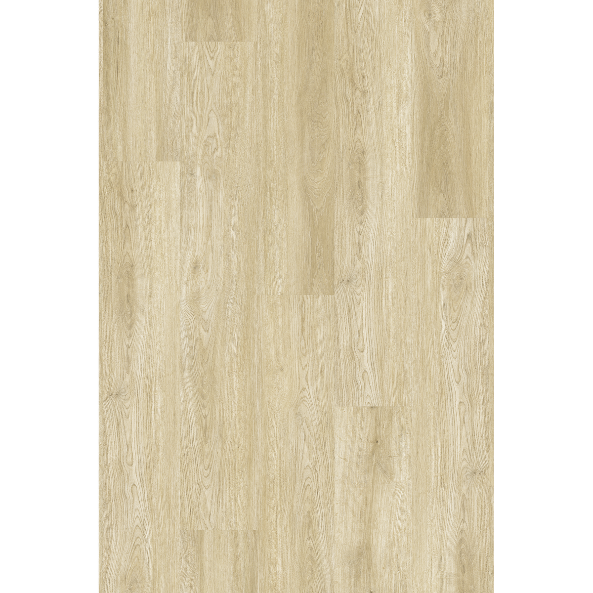 Lam Moon Oak Off Cut Sample