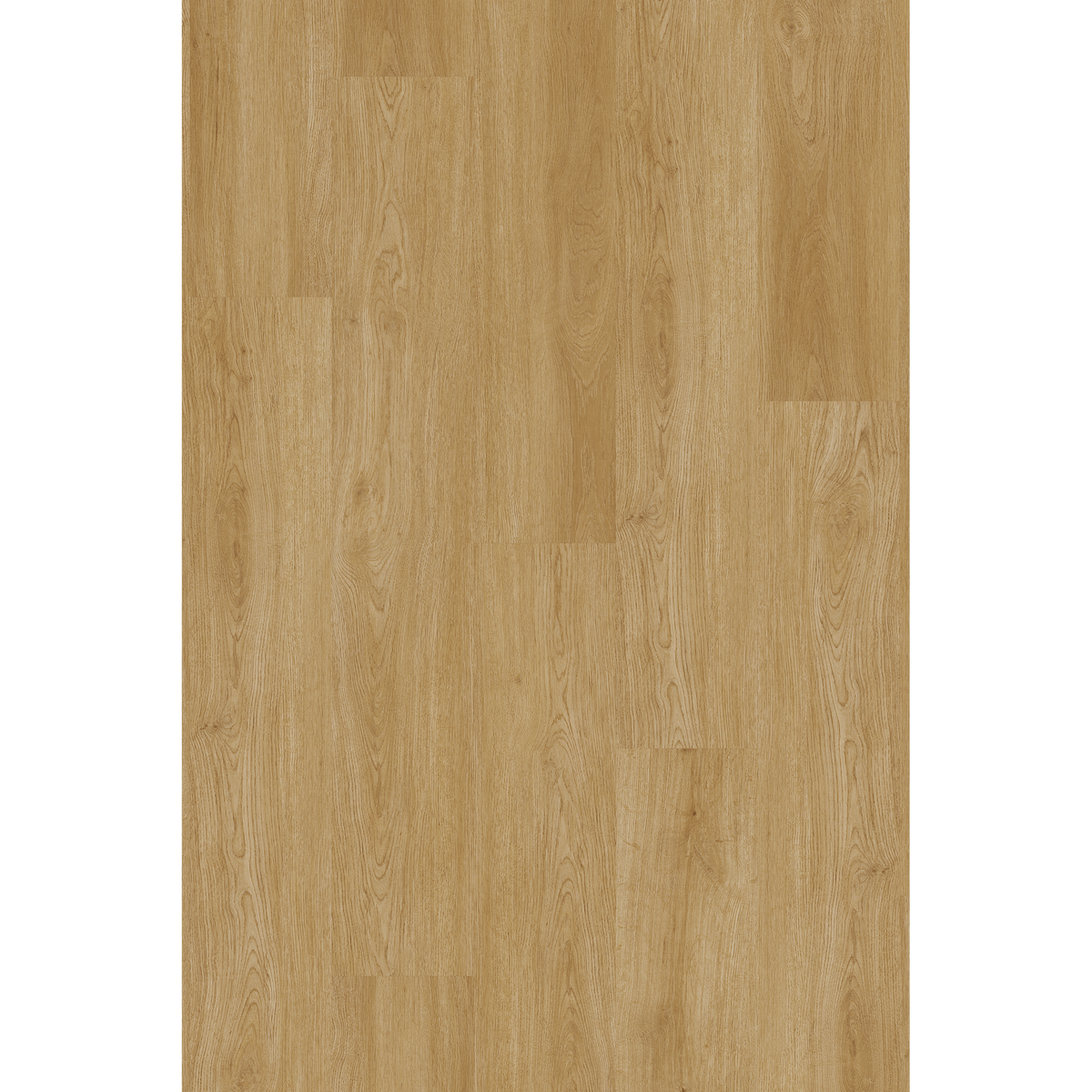Lam Honey Oak Off Cut Sample