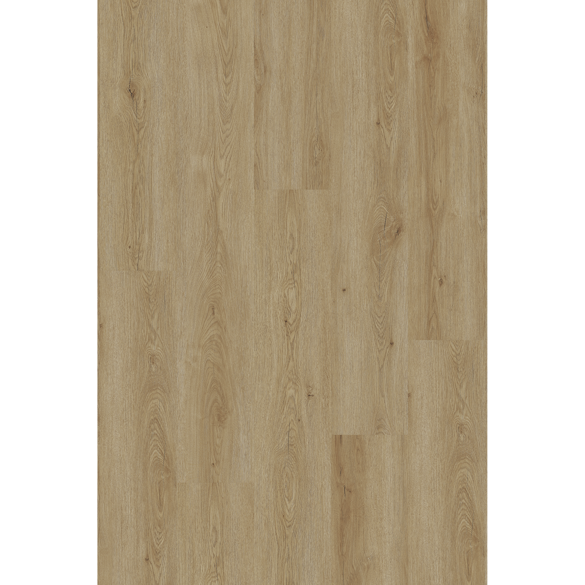 Lam Dove Oak Off Cut Sample