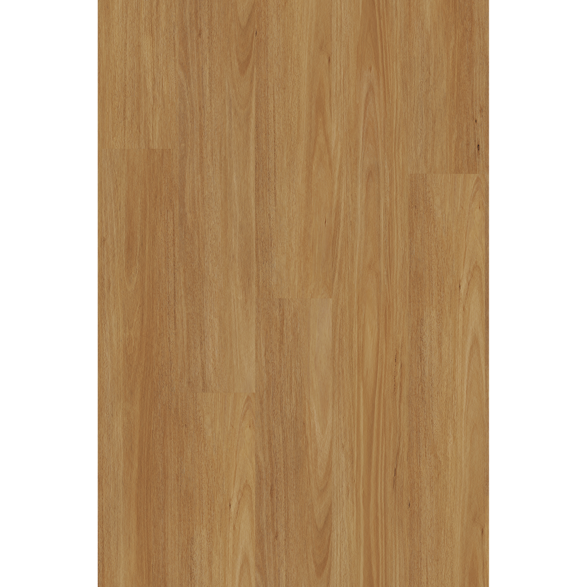 Lam Tasmanian Oak Off Cut Sample