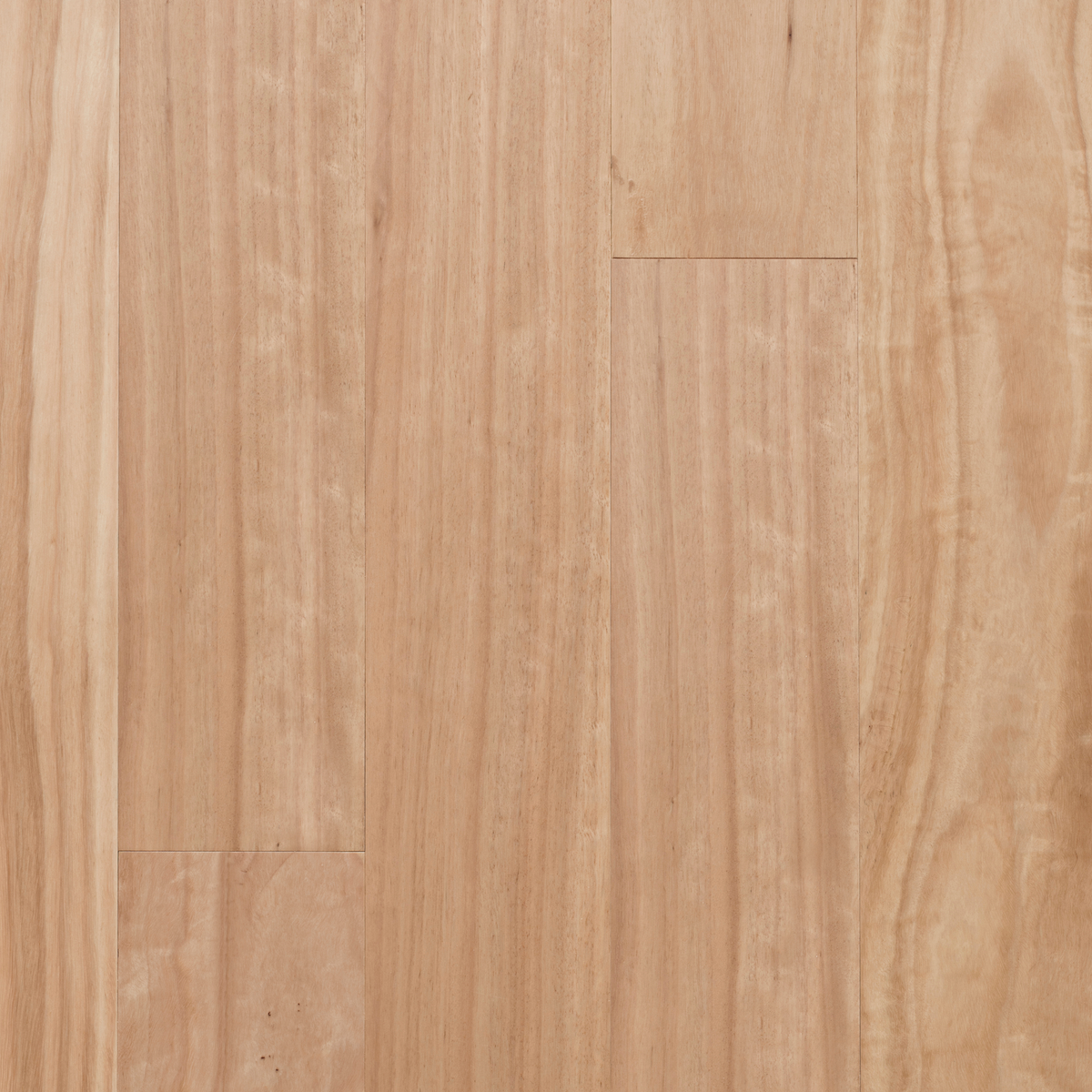 Australis Blackbutt Engineered Timber Textured 14/3 Nested