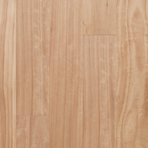 Australis Blackbutt Engineered Timber Textured 14/3 Nested