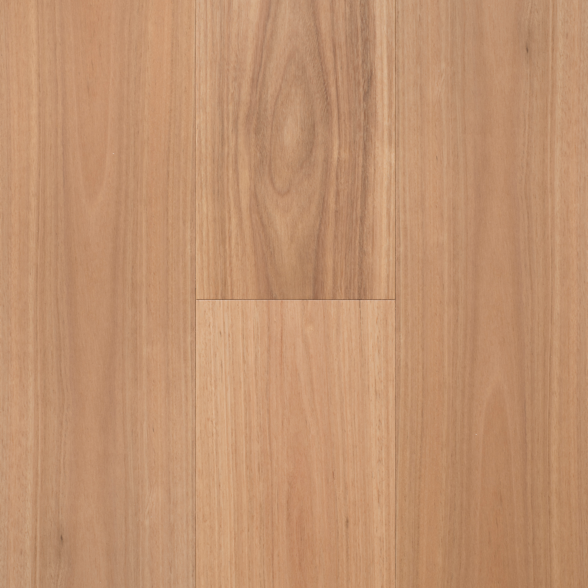 Blackbutt EngTim Width 189 Off Cut Sample