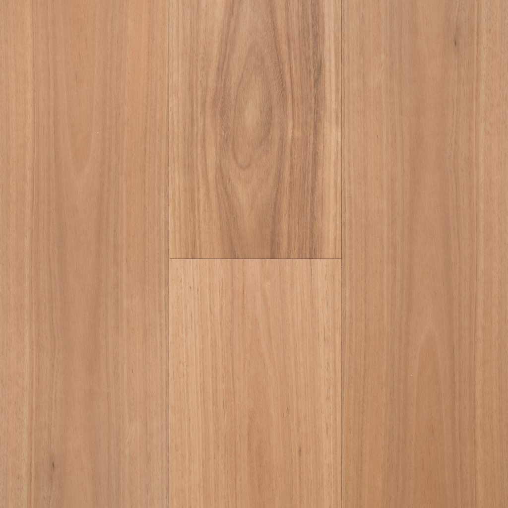Australis Blackbutt Engineered Timber Textured 14/3 Nested
