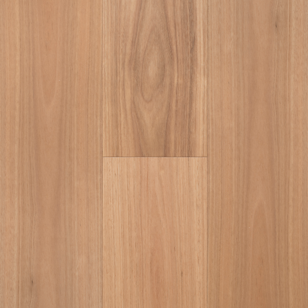 Australis Blackbutt Engineered Timber Textured 14/3 Nested