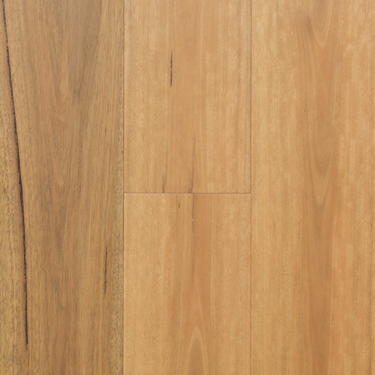 Australis Spotted Gum Engineered Timber Textured 14/3 Nested