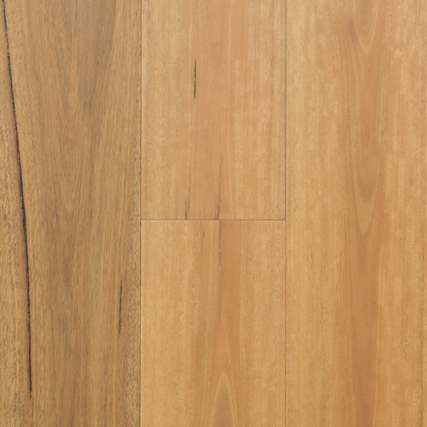 Australis Spotted Gum Engineered Timber Textured 14/3 Nested