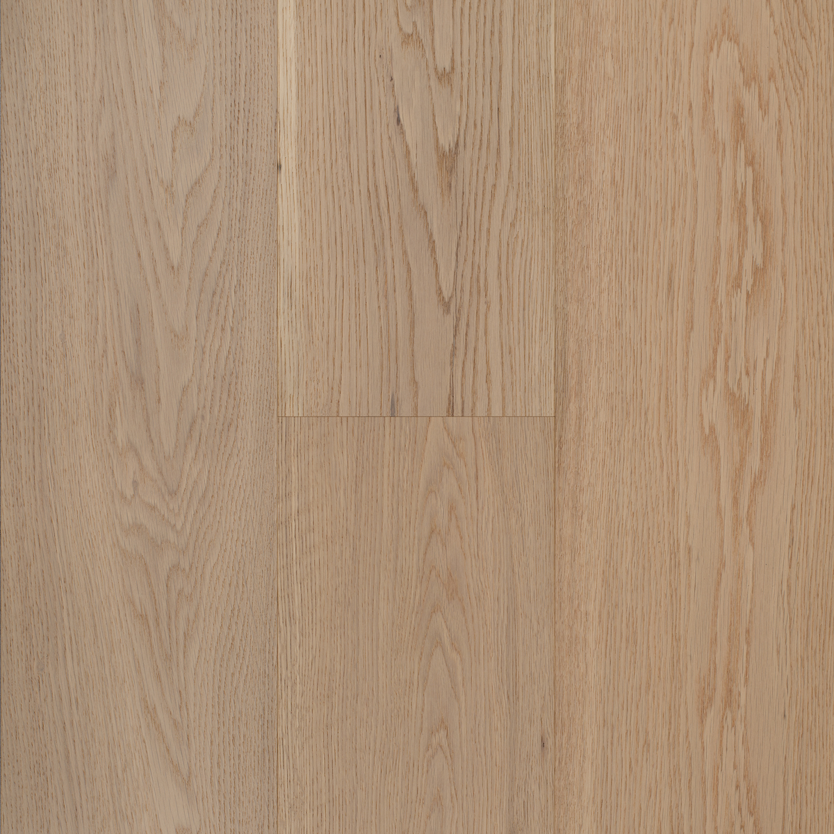 Sand EU-Oak EngTim Off Cut Sample