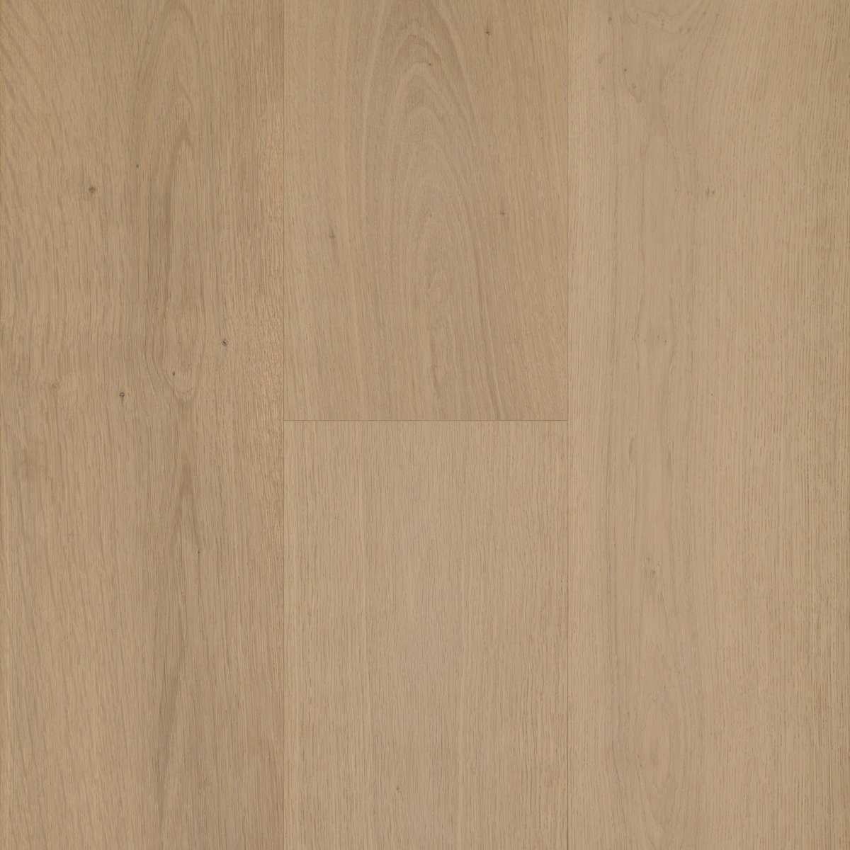 Roasted Barley EU-Oak EngTim Off Cut Sample