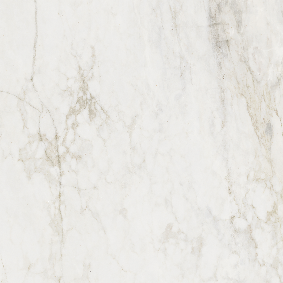 Medley-Statuario Prince Bianco Statuario Silk Tile