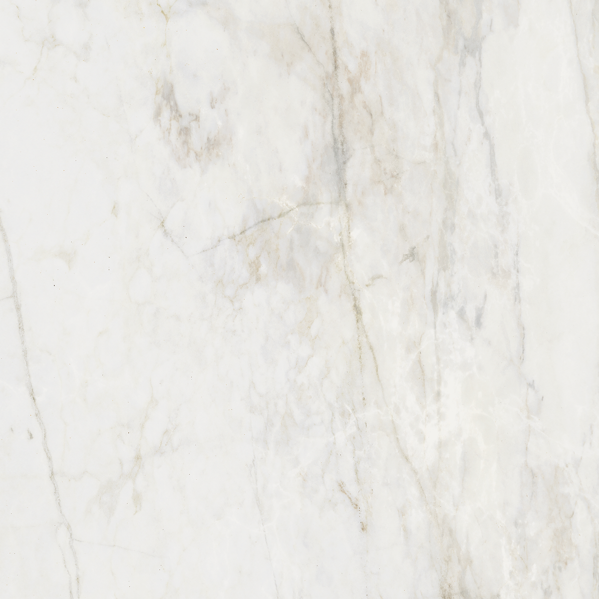 Prince Bianco Statuario Silk Tile