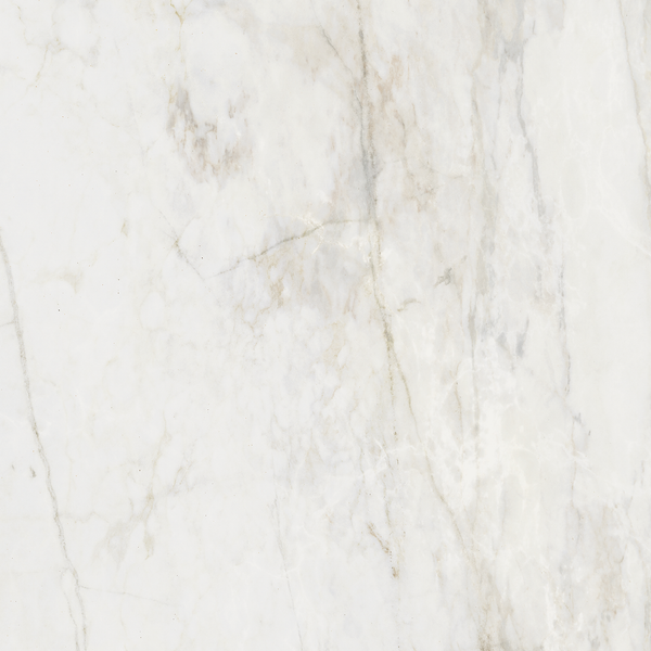 Prince Bianco Statuario Silk Tile