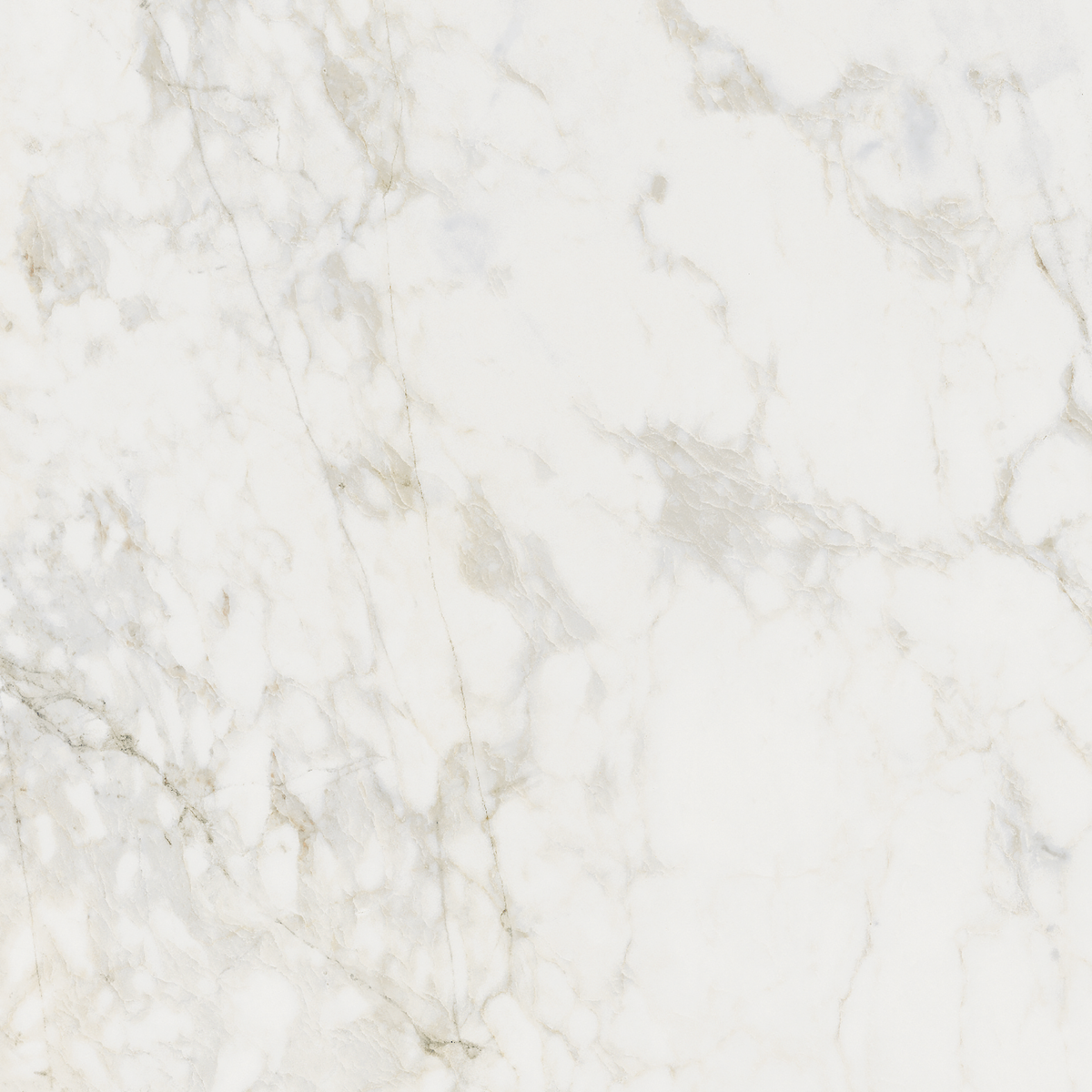 Prince Bianco Statuario Silk Tile