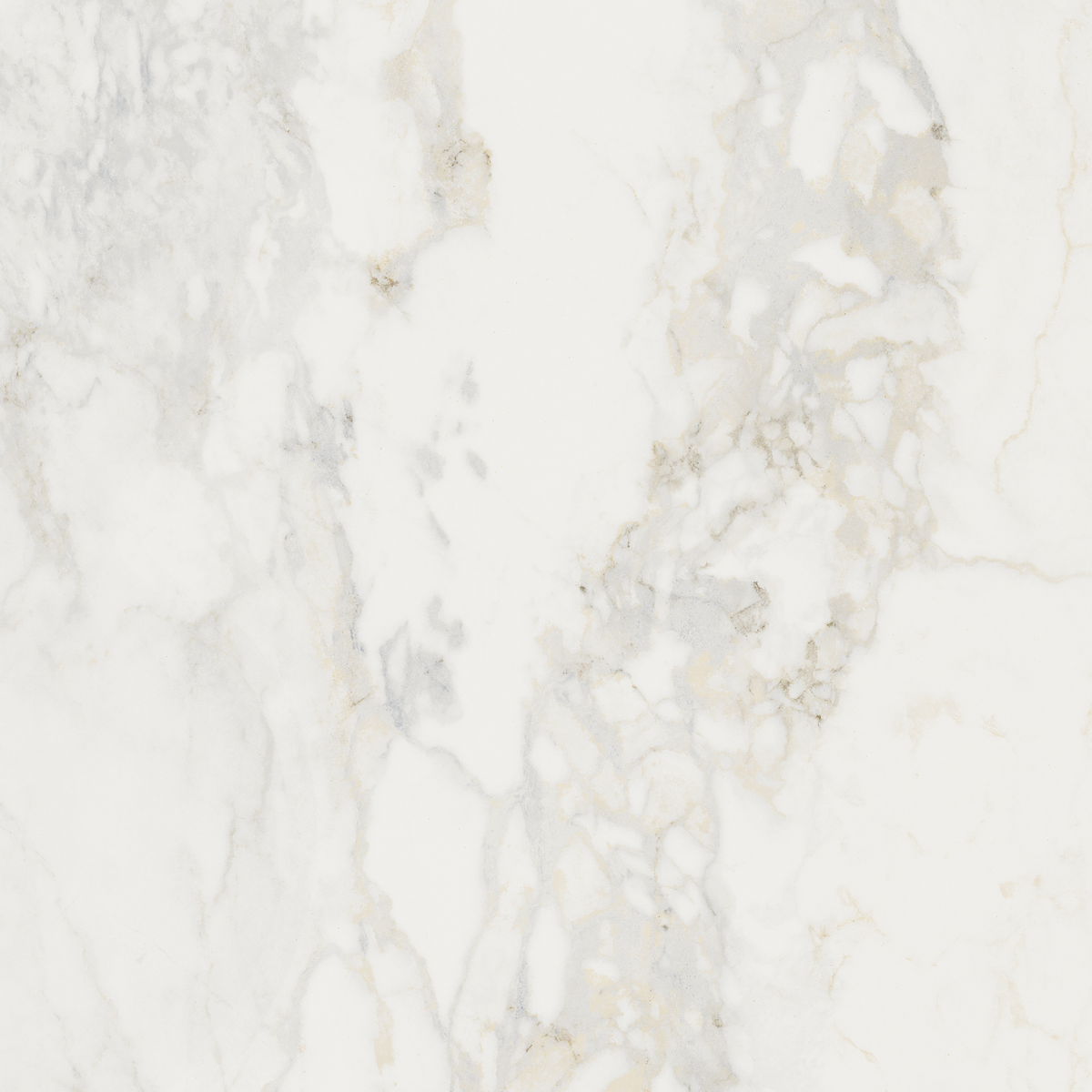 Prince Bianco Statuario Silk Tile