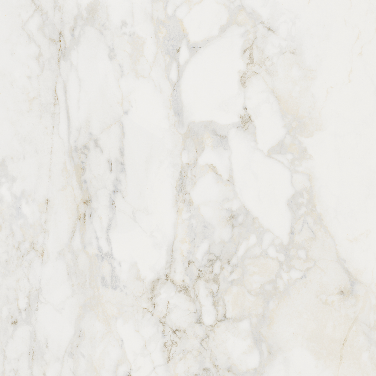 Prince Bianco Statuario Silk Tile