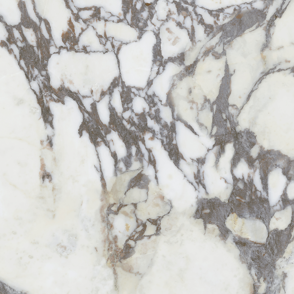 Medley Note Viola Calacatta Silk Tile