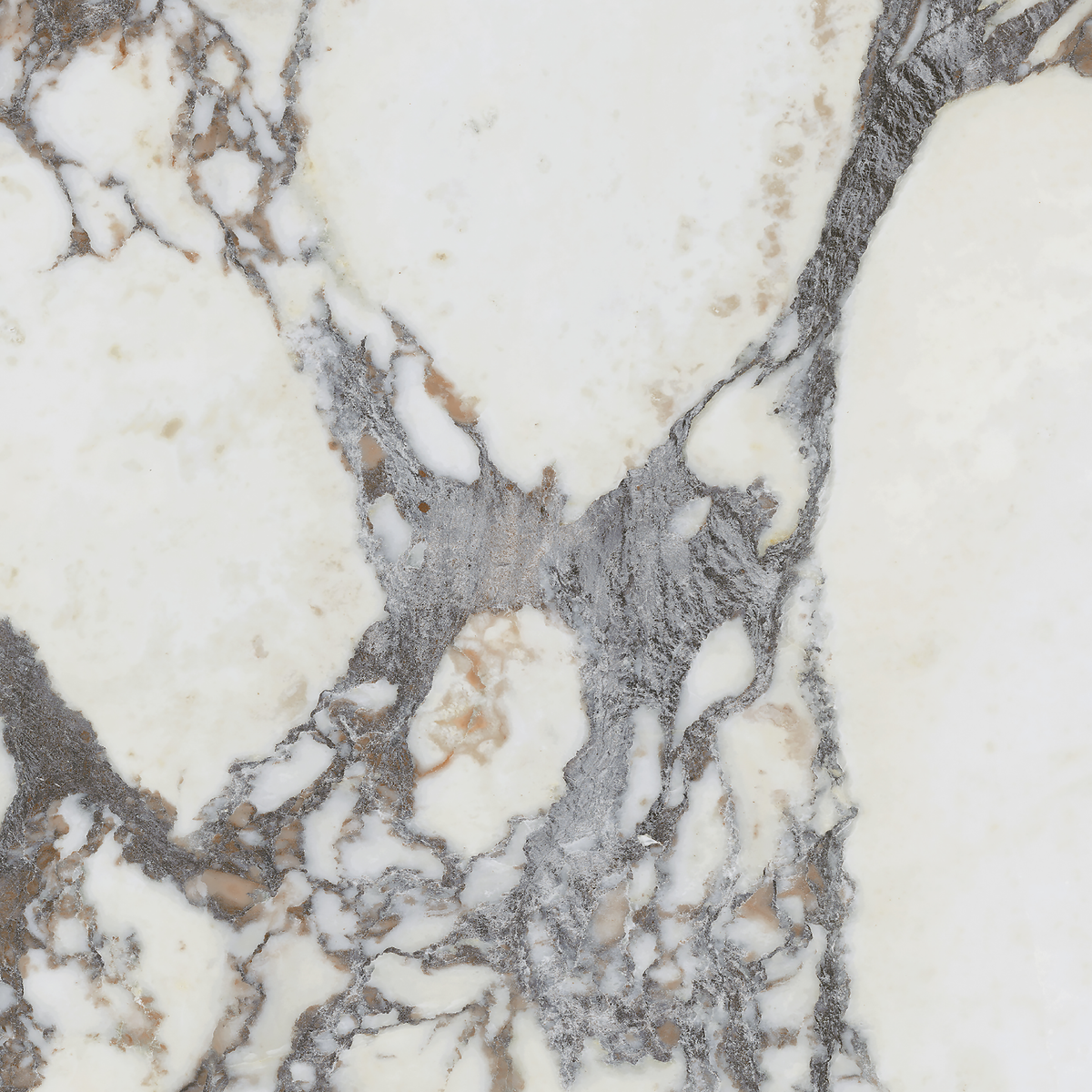 Note Viola Calacatta Silk Tile