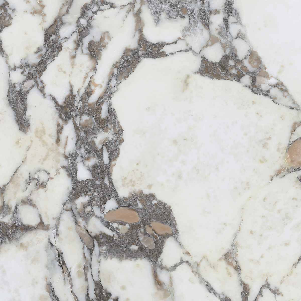 Note Viola Calacatta Silk Tile