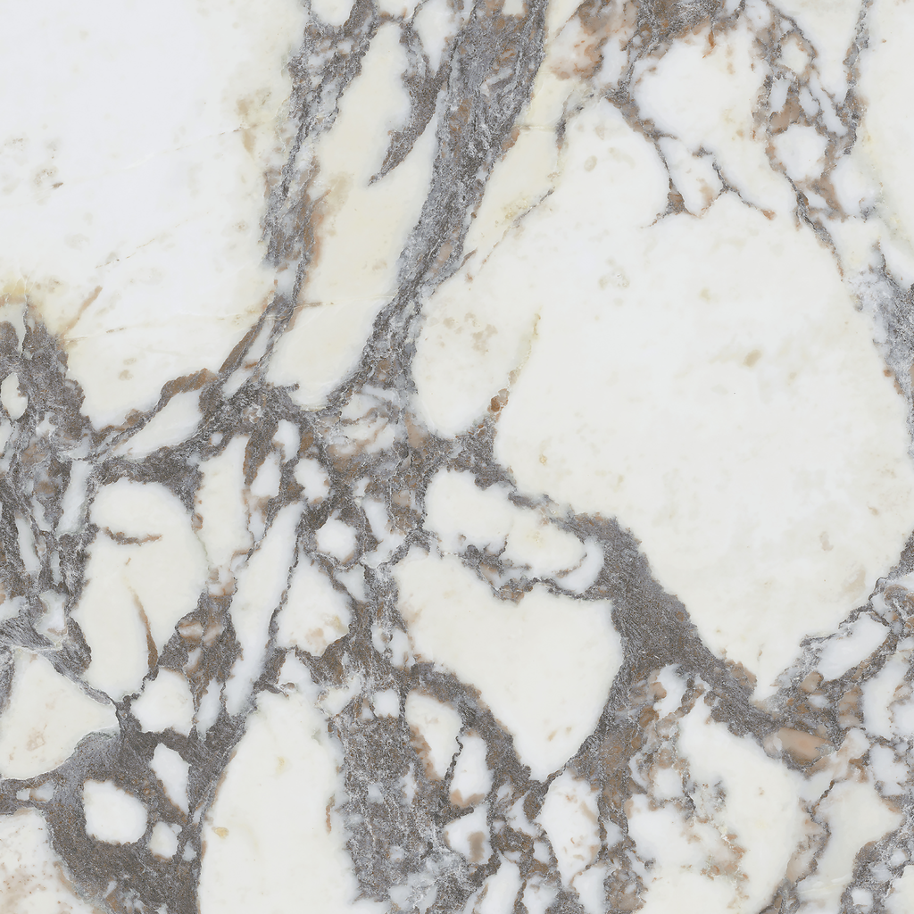 Note Viola Calacatta Silk Tile
