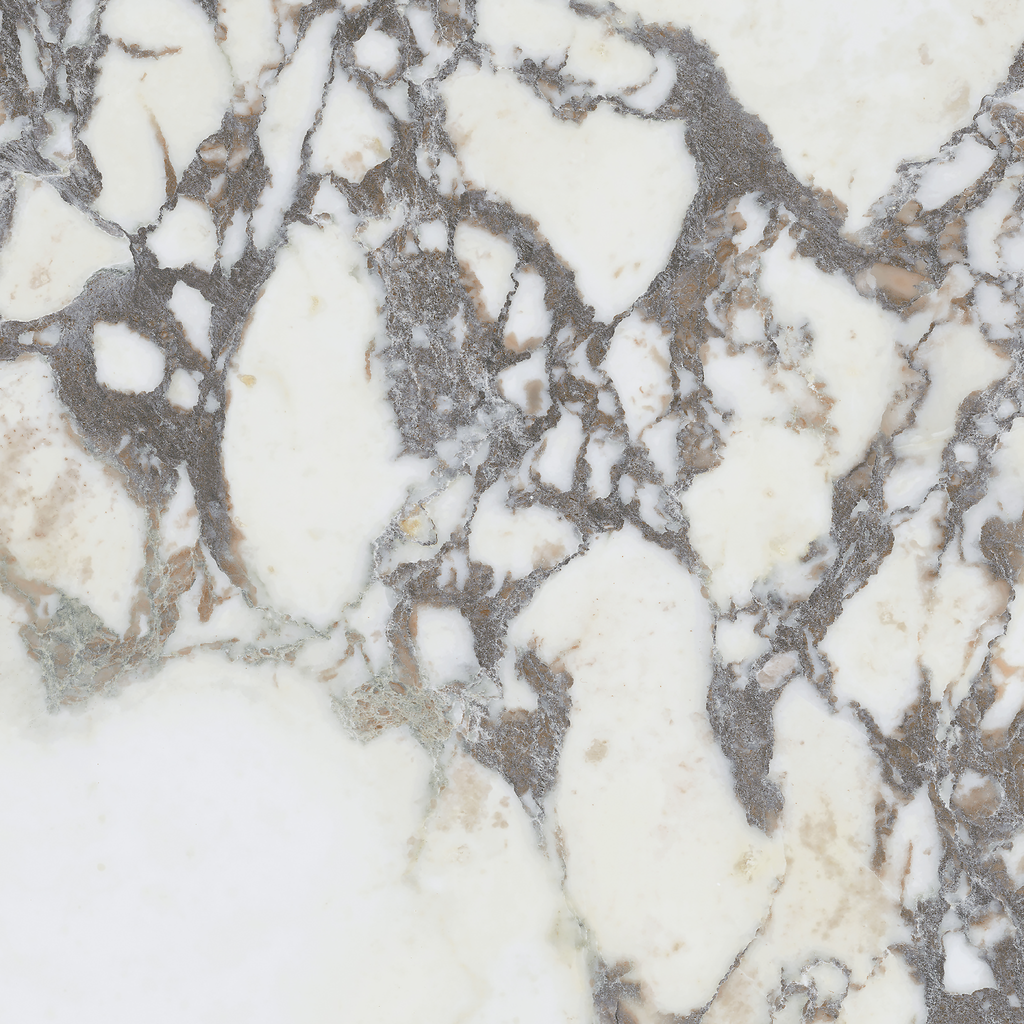 Note Viola Calacatta Silk Tile