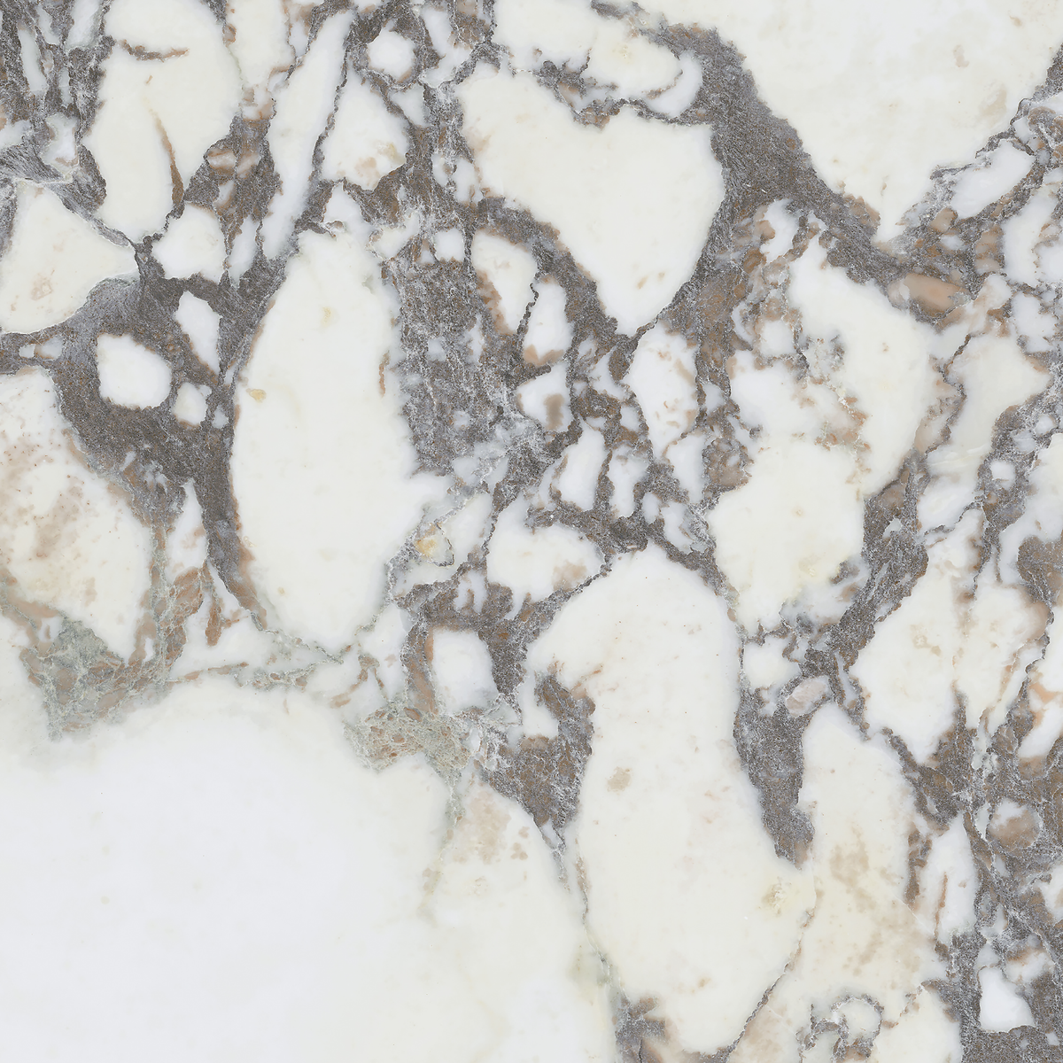 Note Viola Calacatta Silk Tile