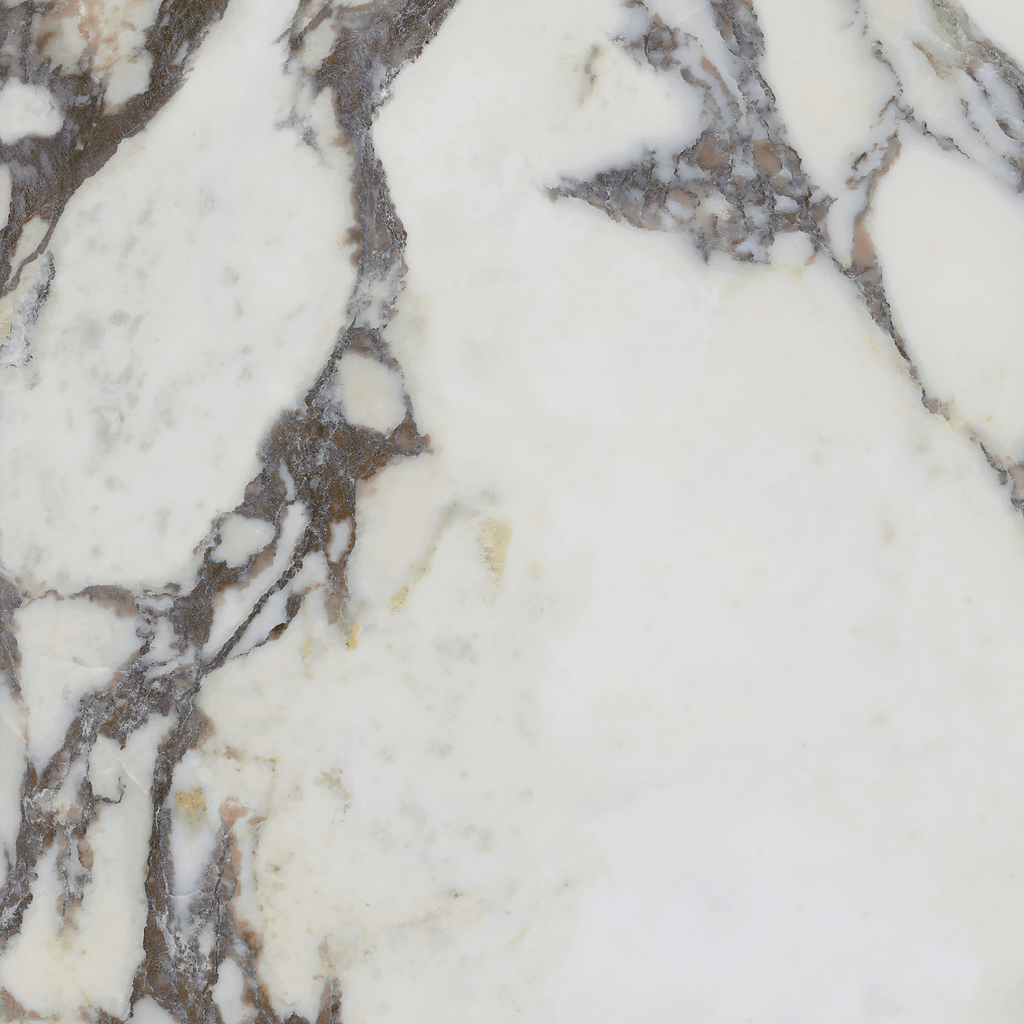 Note Viola Calacatta Silk Tile