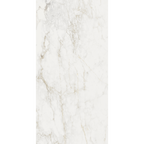 Medley Prince Bianco Statuario Silk Tile