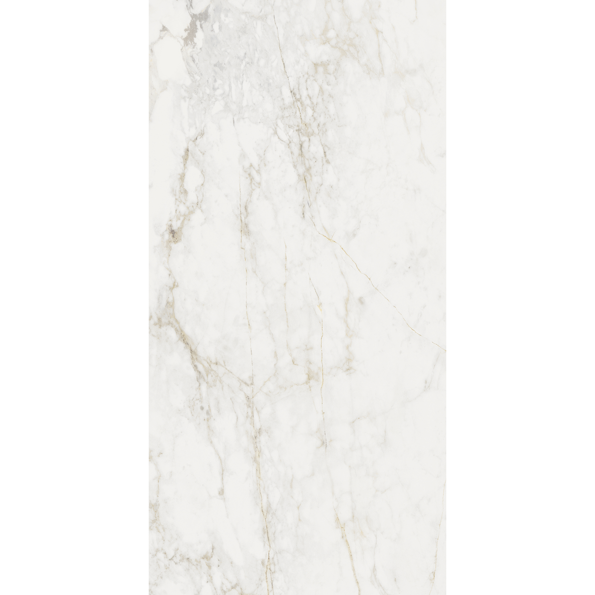 Medley Prince Bianco Statuario Silk Tile