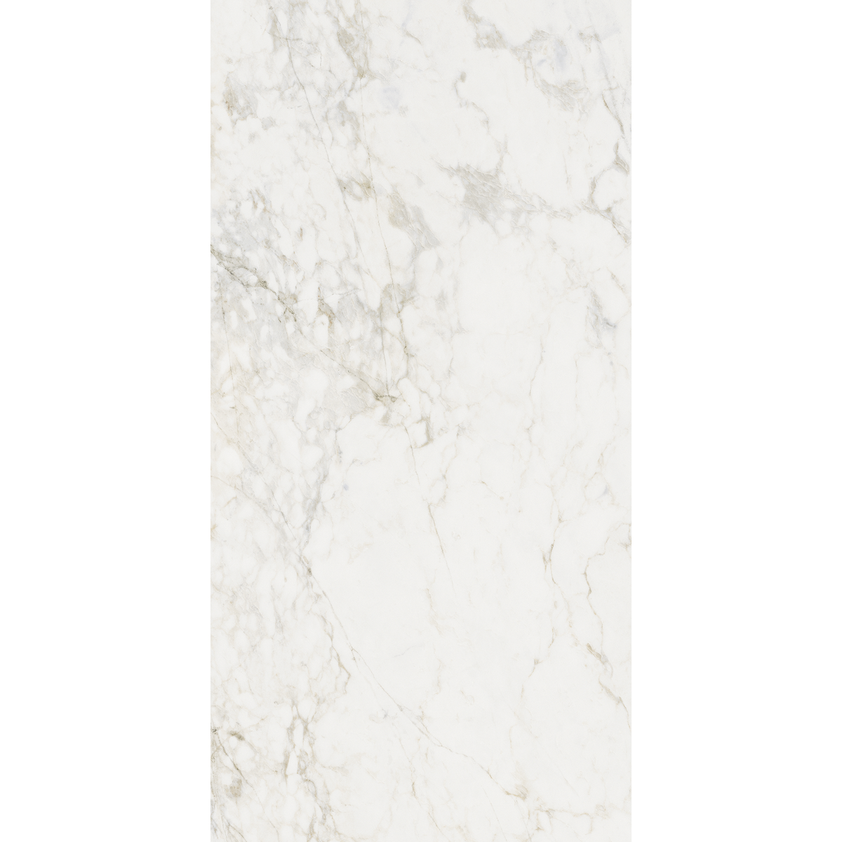 Prince Bianco Statuario Silk Tile