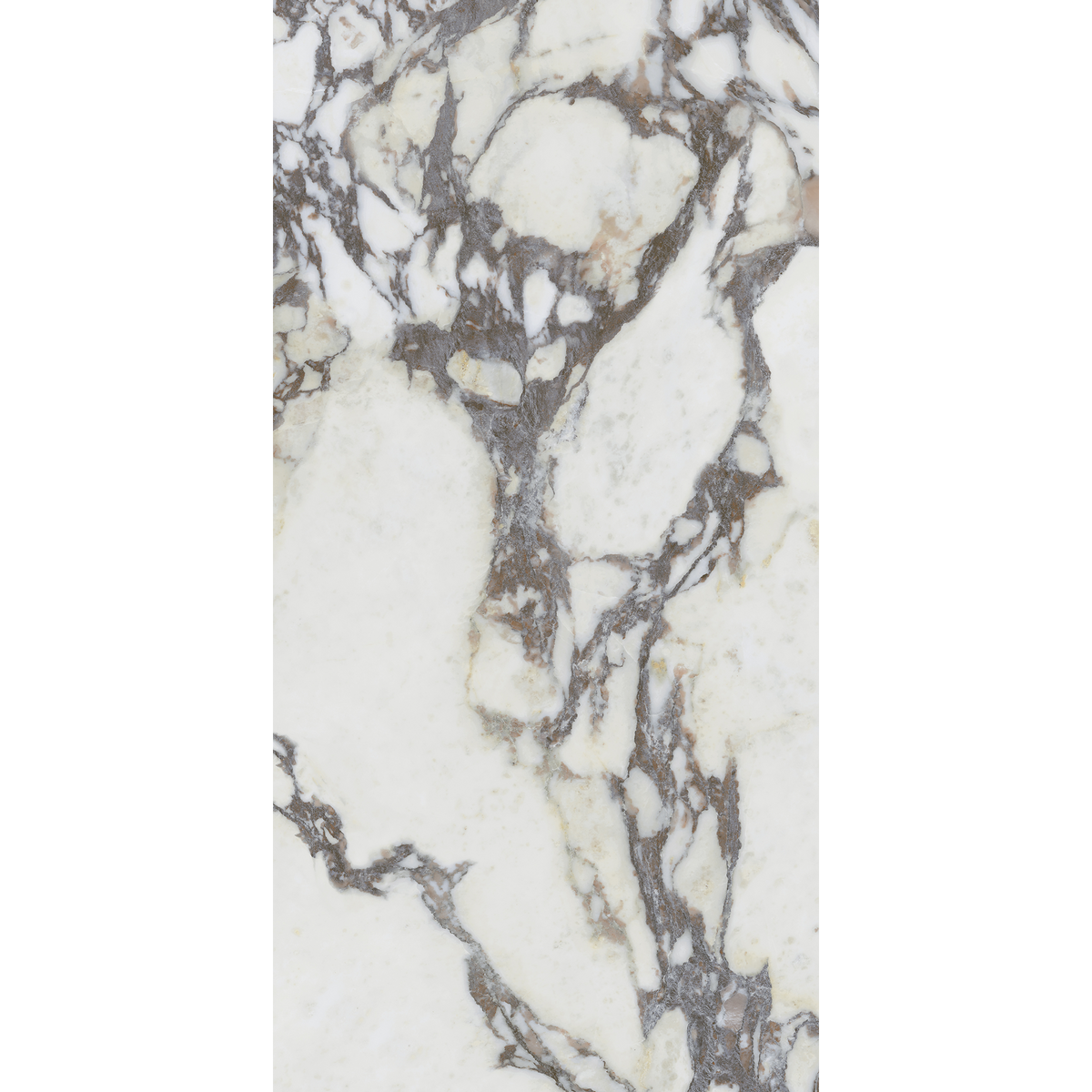 Medley Note Viola Calacatta Silk Tile