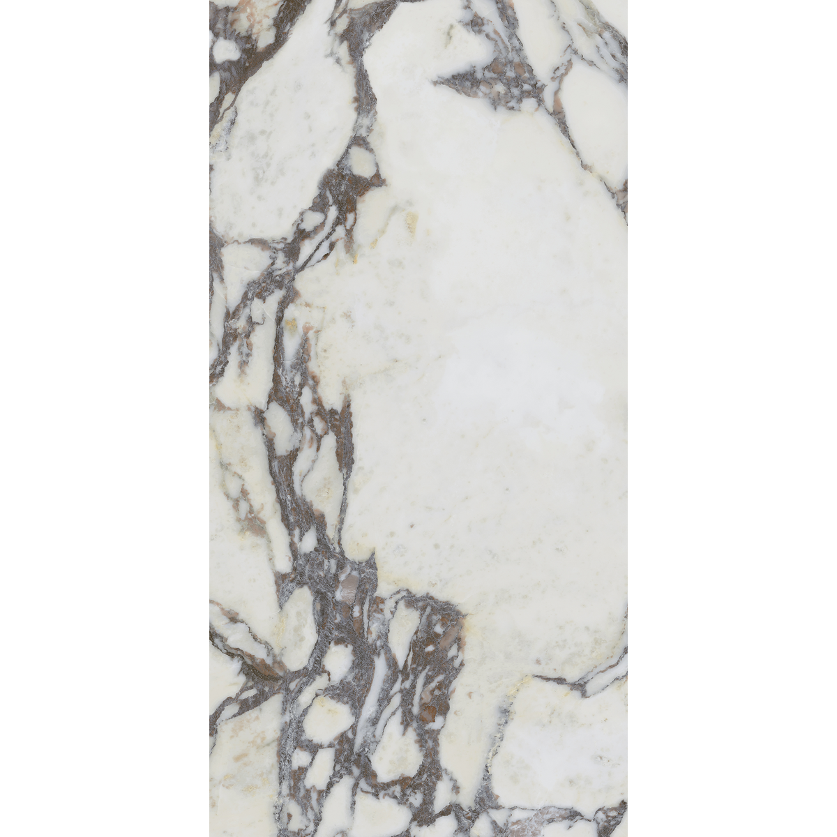 Note Viola Calacatta Silk Tile
