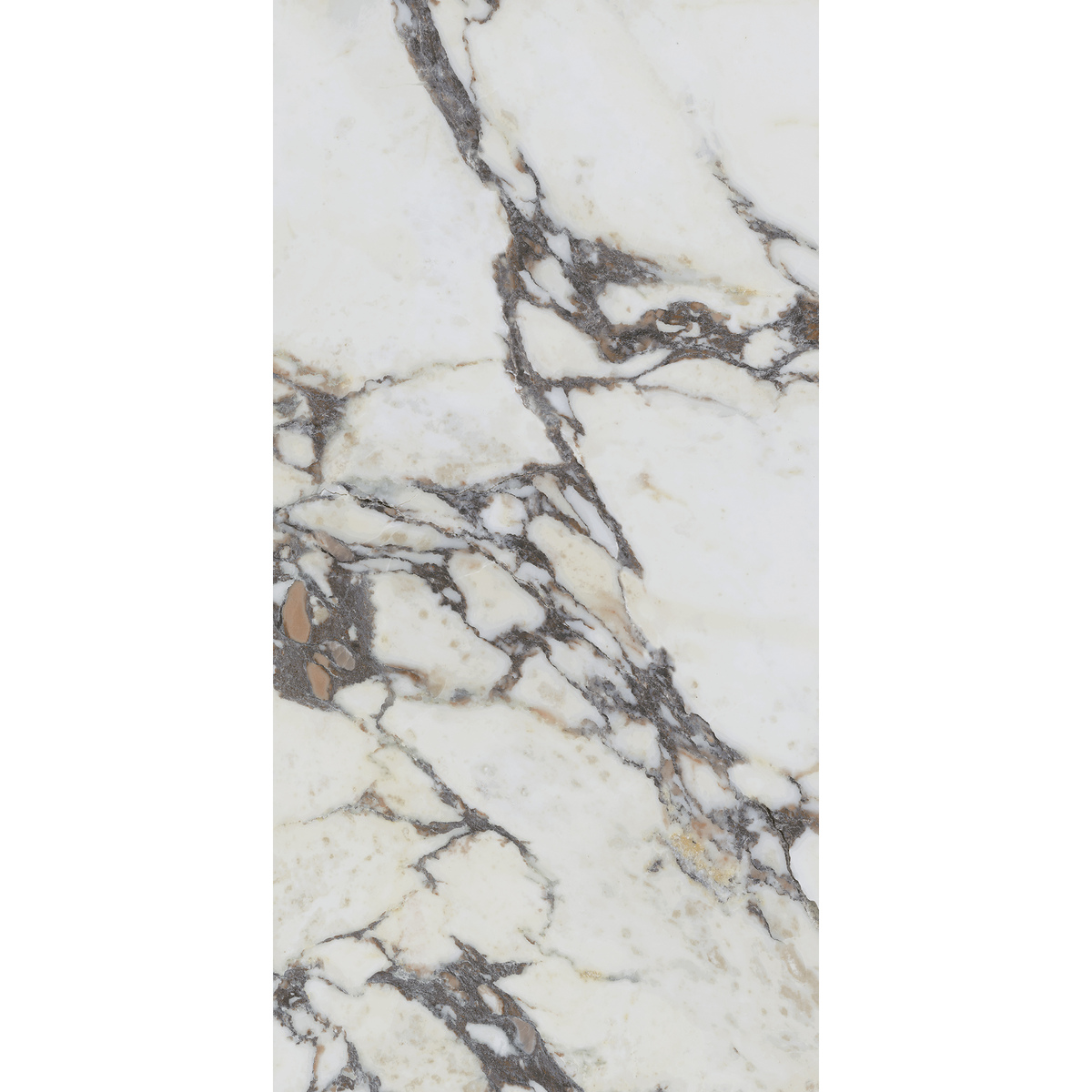 Note Viola Calacatta Silk Tile