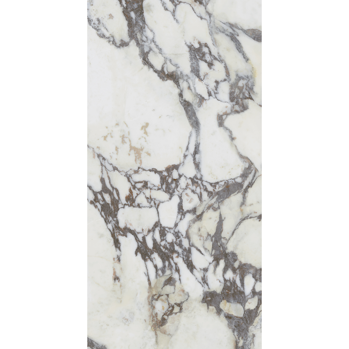 Note Viola Calacatta Silk Tile
